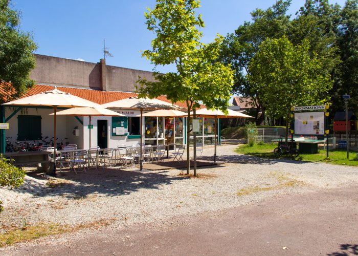 Camping-local-animation Camping-local-animation